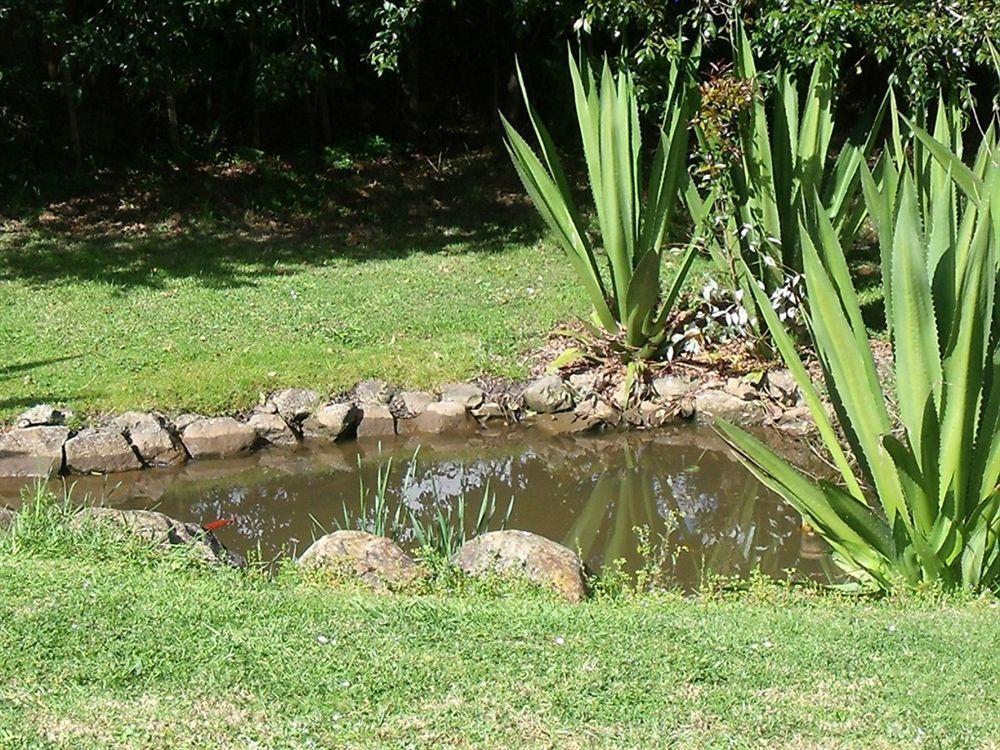 Whangarei Holiday Houses Екстер'єр фото